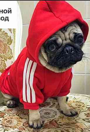 Толстовка с капюшоном для животных Донецк