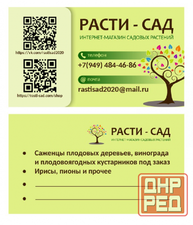 Ирисы: карликовые и высокорослые бородатые Донецк - изображение 2