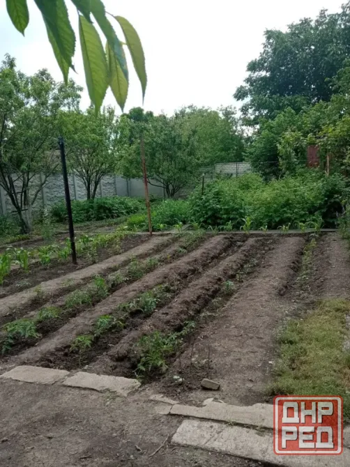 Продам дом(кварт.на земле)Пролетарский районв Донецке Донецк - изображение 7