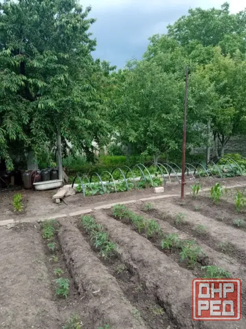 Продам дом(кварт.на земле)Пролетарский районв Донецке Донецк - изображение 6