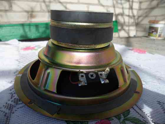 Динамик SONY 100 Вт. Енакиево