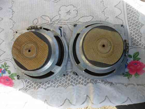 Динамики 10 гд-30б. Енакиево