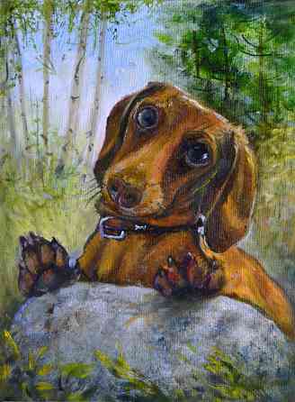 Купить картину маслом на холсте "Любопытная такса на прогулке", маленькая собачка, березовый лес Донецк