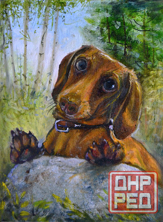 Купить картину маслом на холсте "Любопытная такса на прогулке", маленькая собачка, березовый лес Донецк - изображение 1