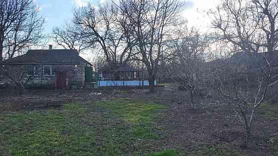 Продам дом с большим участком земли с. Раздольное Старобешево