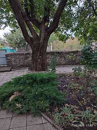 Продам дом с большим участком земли с. Раздольное Старобешево