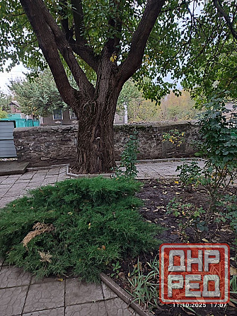 Продам дом с большим участком земли с. Раздольное Старобешево - изображение 4