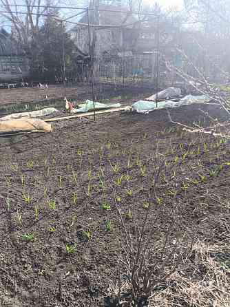 Продаются 2 дачных участка Макеевка