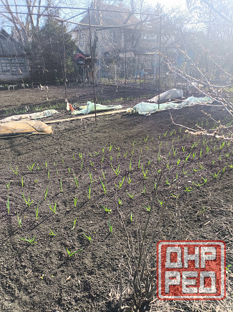 Продаются 2 дачных участка Макеевка - изображение 5