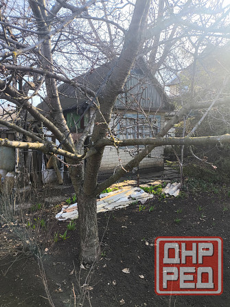 Продаются 2 дачных участка Макеевка - изображение 7