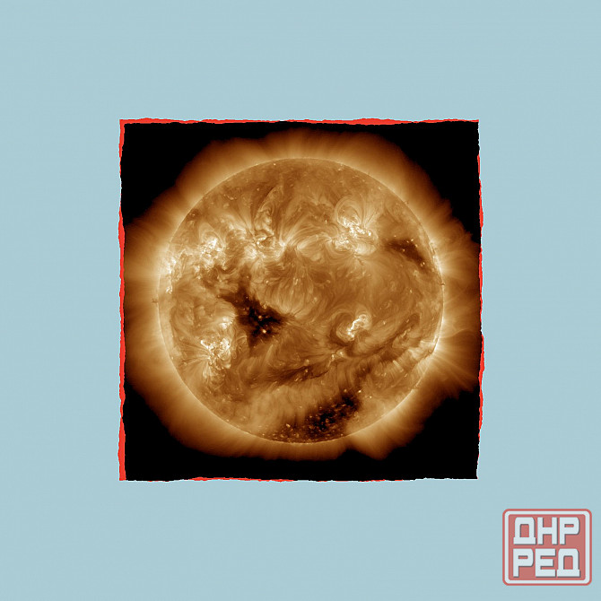 Древо Грог, а курочки "Гороха" Донецк - изображение 1