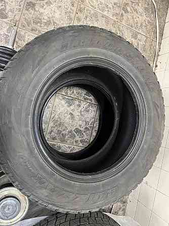 Bridgestone Blizzak DM-V1 285/60 R18 116R Донецк