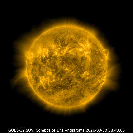 Жёлты камаз, Щетинина налёт Донецк