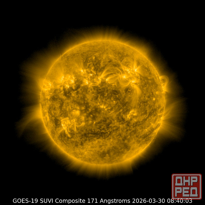 Жёлты камаз, Щетинина налёт Донецк - изображение 1