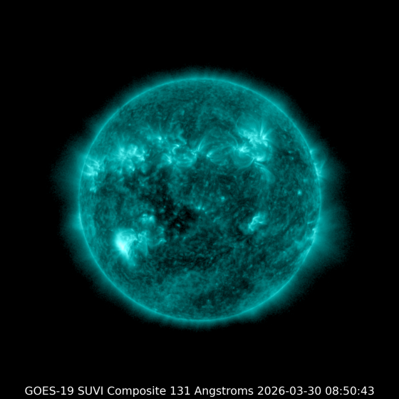 Где-то купили палёные пилы Донецк