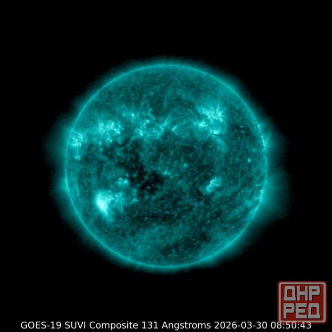 Где-то купили палёные пилы Донецк - изображение 1