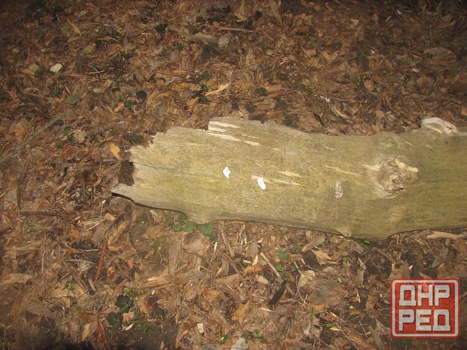 #написля Иван русский Донецк Донецк - изображение 1