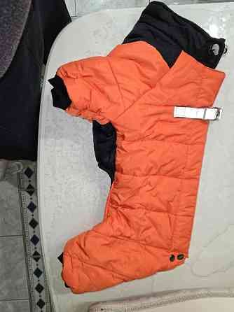 Продам комбинезон для собаки Донецк