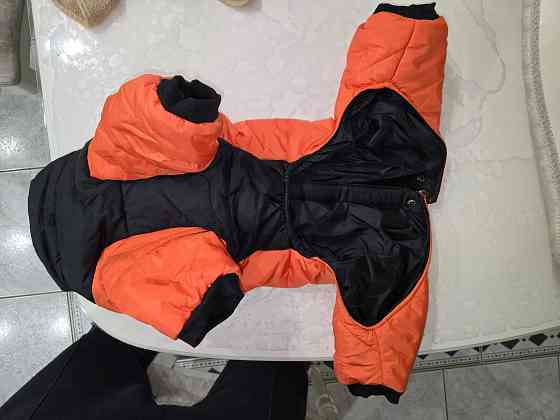 Продам комбинезон для собаки Донецк