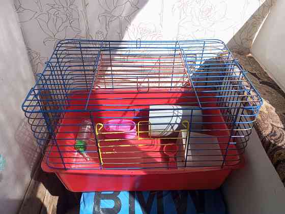 Клетки для грызунов Макеевка