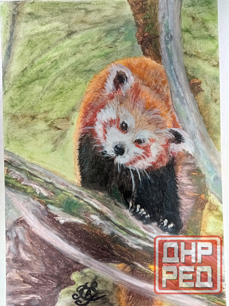 Картины масляной пастелью Донецк - изображение 1