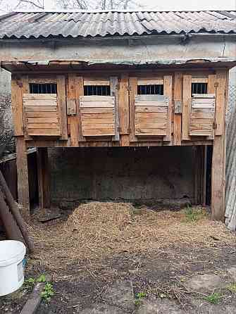 Клетка для кроликов Макеевка