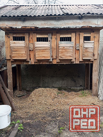 Клетка для кроликов Макеевка - изображение 4