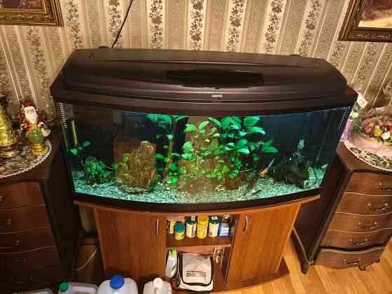 Аквариум на 250 литров вместе с тумбой Донецк
