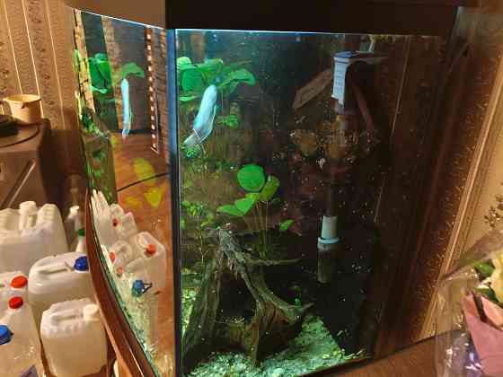 Аквариум на 250 литров вместе с тумбой Донецк