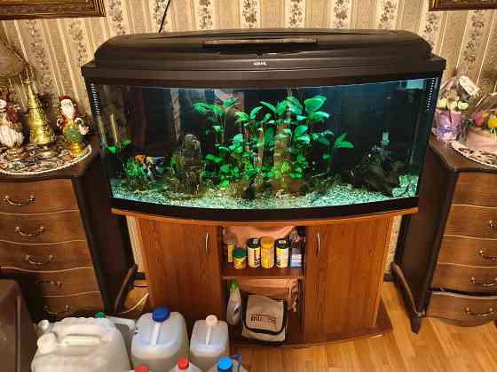 Аквариум на 250 литров вместе с тумбой Донецк