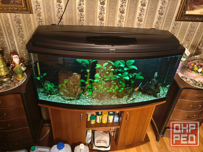Аквариум на 250 литров вместе с тумбой Донецк - изображение 3