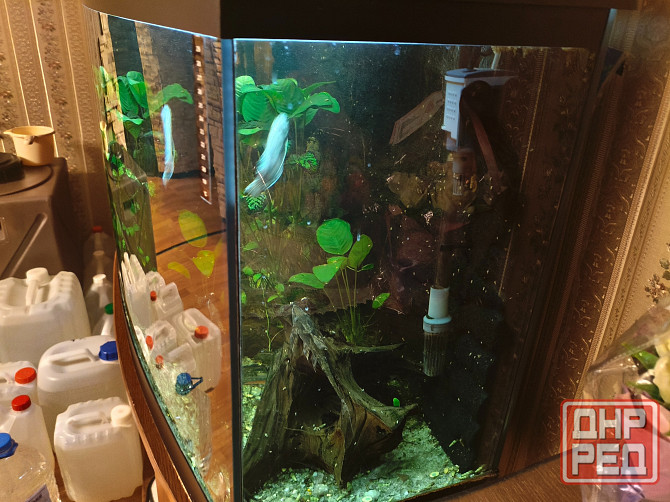 Аквариум на 250 литров вместе с тумбой Донецк - изображение 5