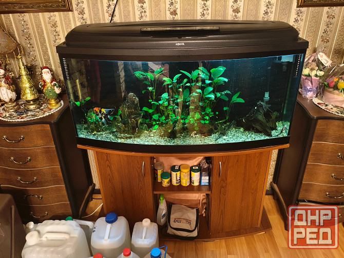 Аквариум на 250 литров вместе с тумбой Донецк - изображение 1