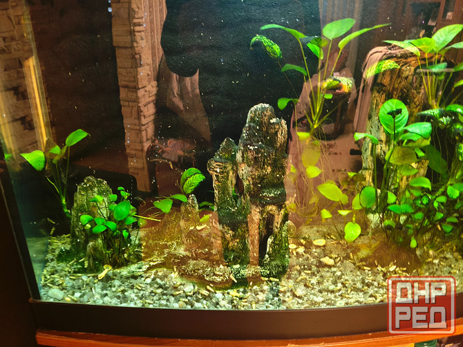 Аквариум на 250 литров вместе с тумбой Донецк - изображение 2