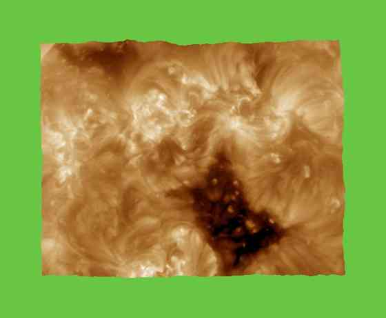 12500 дерево хорошее, 16 лет Донецк