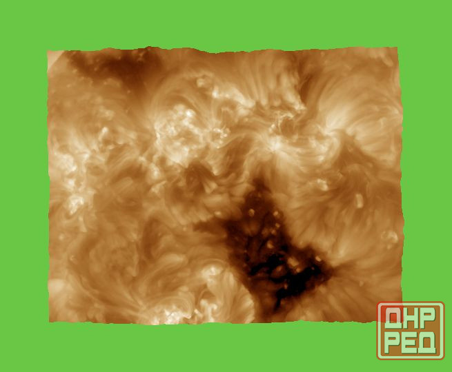 12500 дерево хорошее, 16 лет Донецк - изображение 1