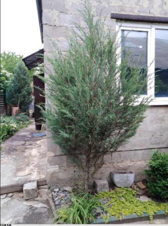 Два дома на участке, ул. Приозерная Кир. р-н. Вода 24/7 Донецк