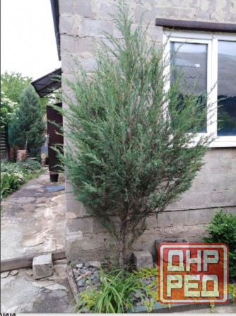 Два дома на участке, ул. Приозерная Кир. р-н. Вода 24/7 Донецк - изображение 5