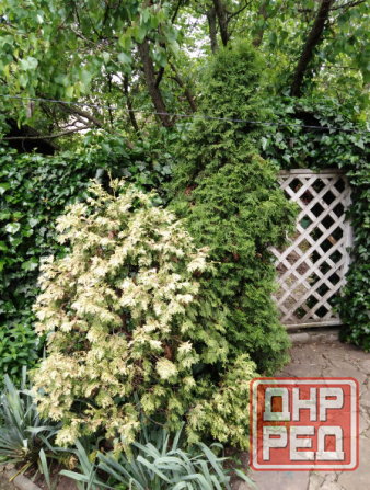 Два дома на участке, ул. Приозерная Кир. р-н. Вода 24/7 Донецк - изображение 8