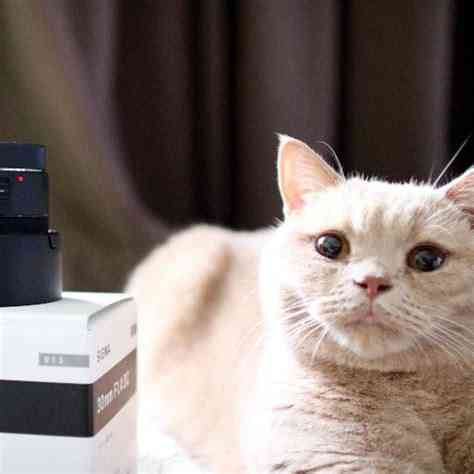 Работал дома, один #Sigma Донецк