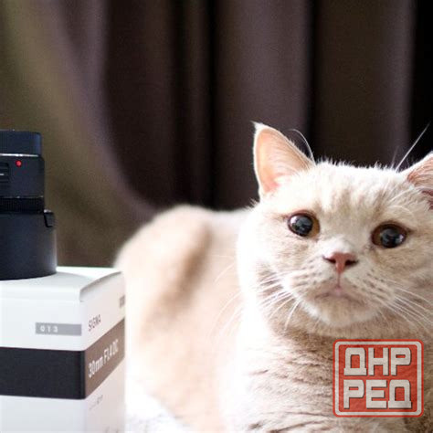 Работал дома, один #Sigma Донецк - изображение 1