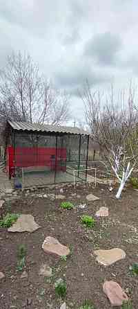 Продам дачу на Абакумова. Донецк