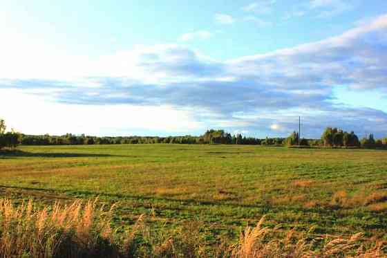 Продам землю .с/х назначения Докучаевск