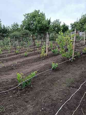 Дача 100м, 15 с госакт, скважина, гараж Донецк