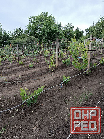 Дача 100м, 15 с госакт, скважина, гараж Донецк - изображение 5