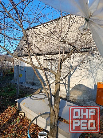 Дача 100м, 15 с госакт, скважина, гараж Донецк - изображение 4