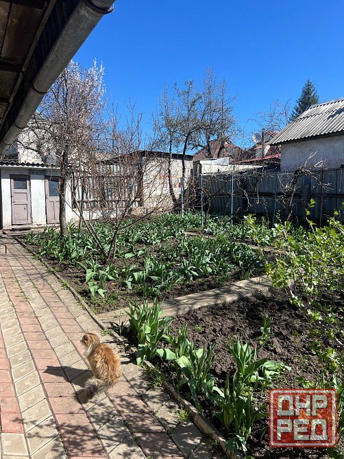 Продам дом в Ленинском районе ул. Ясногорская Донецк - изображение 4