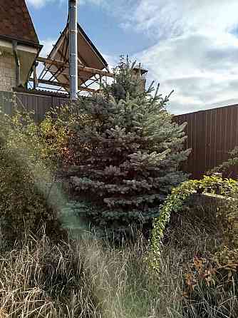 Дом 400 м² (коробка) + участок 9 соток | коммуникации Донецк