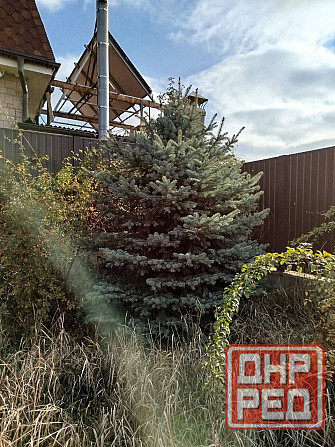 Дом 400 м² (коробка) + участок 9 соток | коммуникации Донецк - изображение 5