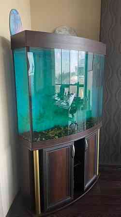 Аквариум Донецк